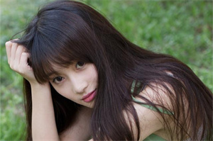 上海各区新茶工作室：上海的登革热疫情与气候变化的关联